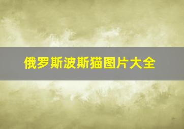 俄罗斯波斯猫图片大全