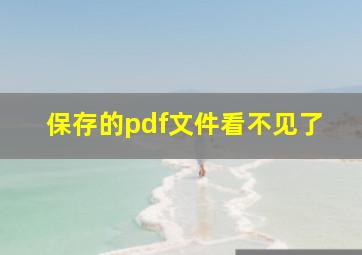 保存的pdf文件看不见了