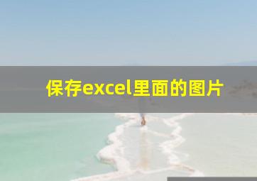 保存excel里面的图片