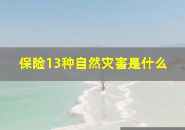 保险13种自然灾害是什么