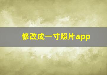 修改成一寸照片app