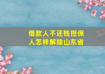 借款人不还钱担保人怎样解除山东省