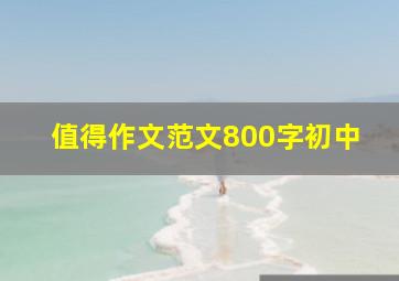 值得作文范文800字初中