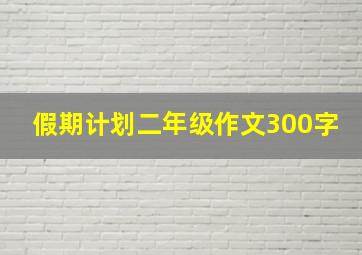 假期计划二年级作文300字