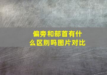 偏旁和部首有什么区别吗图片对比