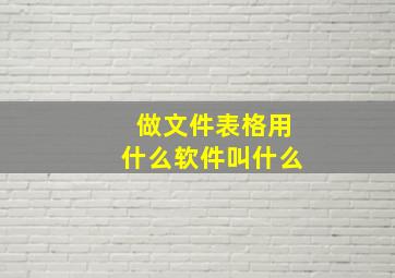 做文件表格用什么软件叫什么