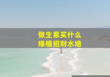 做生意买什么绿植招财水培