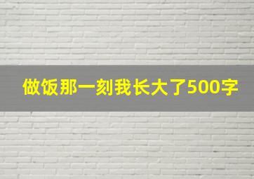 做饭那一刻我长大了500字