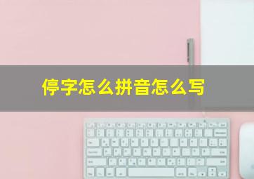 停字怎么拼音怎么写