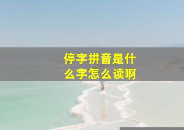 停字拼音是什么字怎么读啊