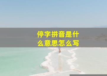 停字拼音是什么意思怎么写