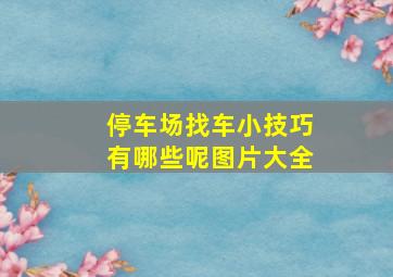 停车场找车小技巧有哪些呢图片大全