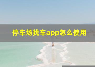 停车场找车app怎么使用