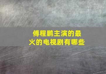 傅程鹏主演的最火的电视剧有哪些