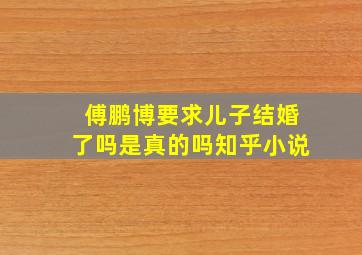 傅鹏博要求儿子结婚了吗是真的吗知乎小说