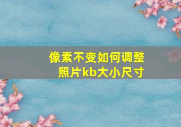 像素不变如何调整照片kb大小尺寸