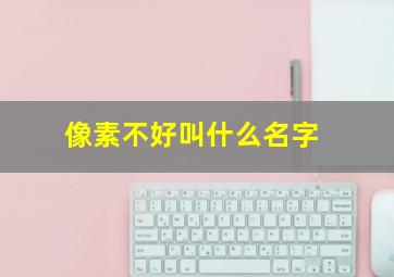 像素不好叫什么名字