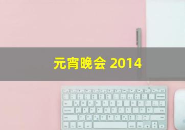 元宵晚会 2014