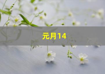 元月14