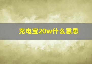 充电宝20w什么意思