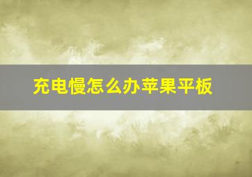 充电慢怎么办苹果平板