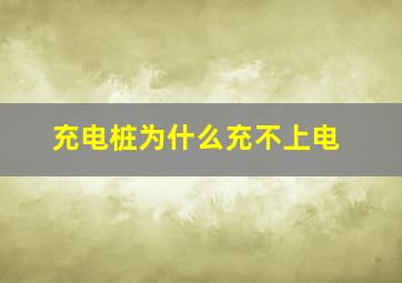 充电桩为什么充不上电