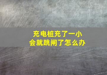 充电桩充了一小会就跳闸了怎么办