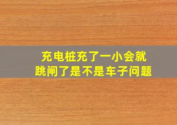 充电桩充了一小会就跳闸了是不是车子问题