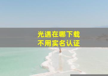 光遇在哪下载不用实名认证