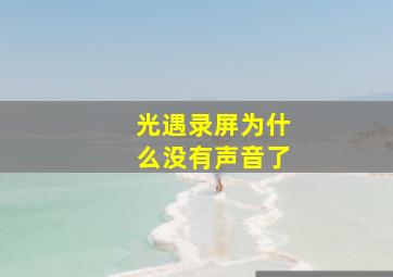 光遇录屏为什么没有声音了