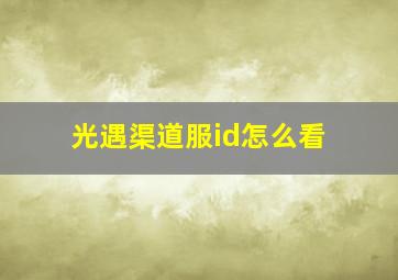 光遇渠道服id怎么看