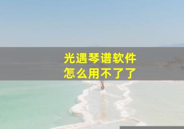 光遇琴谱软件怎么用不了了