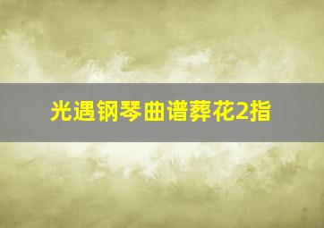 光遇钢琴曲谱葬花2指