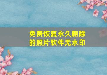 免费恢复永久删除的照片软件无水印