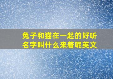 兔子和猫在一起的好听名字叫什么来着呢英文