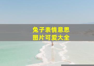 兔子表情意思图片可爱大全