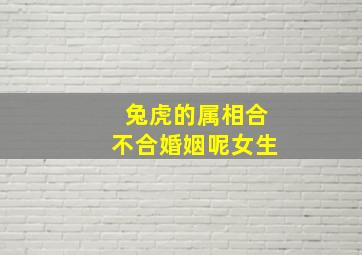 兔虎的属相合不合婚姻呢女生