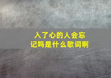 入了心的人会忘记吗是什么歌词啊