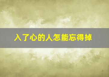 入了心的人怎能忘得掉