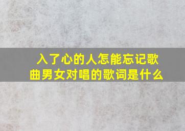 入了心的人怎能忘记歌曲男女对唱的歌词是什么