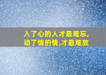 入了心的人才最难忘,动了情的情,才最难放