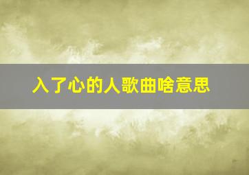 入了心的人歌曲啥意思