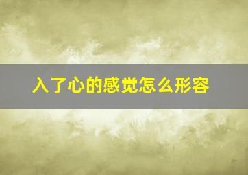 入了心的感觉怎么形容