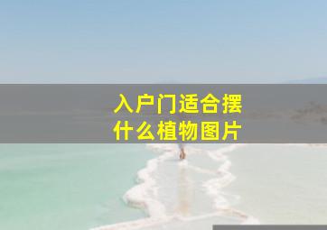 入户门适合摆什么植物图片