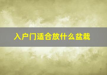 入户门适合放什么盆栽