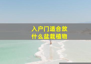 入户门适合放什么盆栽植物