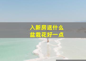 入新房送什么盆栽花好一点