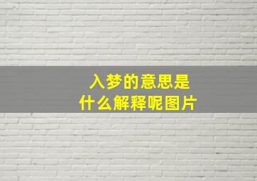 入梦的意思是什么解释呢图片