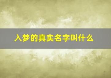 入梦的真实名字叫什么