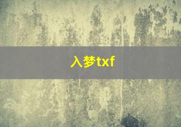 入梦txf